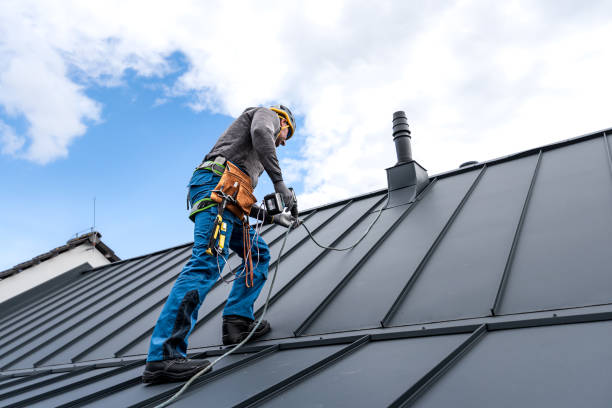 Best Solar Panel Roofing Installation  in South Floral Park, NY